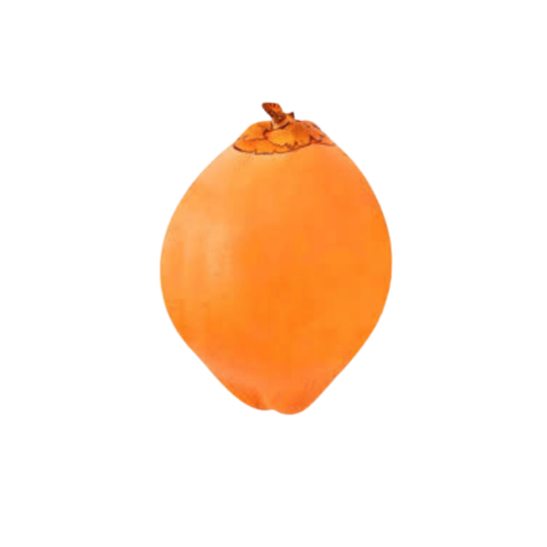 King Coconut