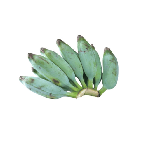 Ash Plantain