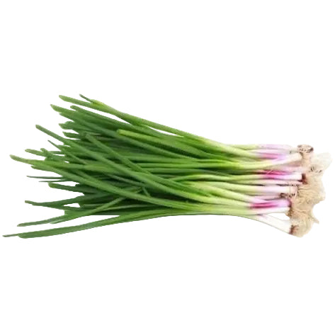 Spring Onion