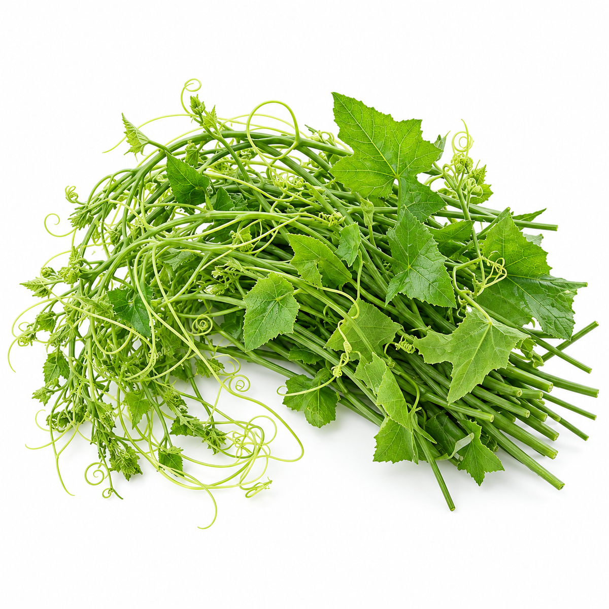 KOWAKKA LEAVES -  