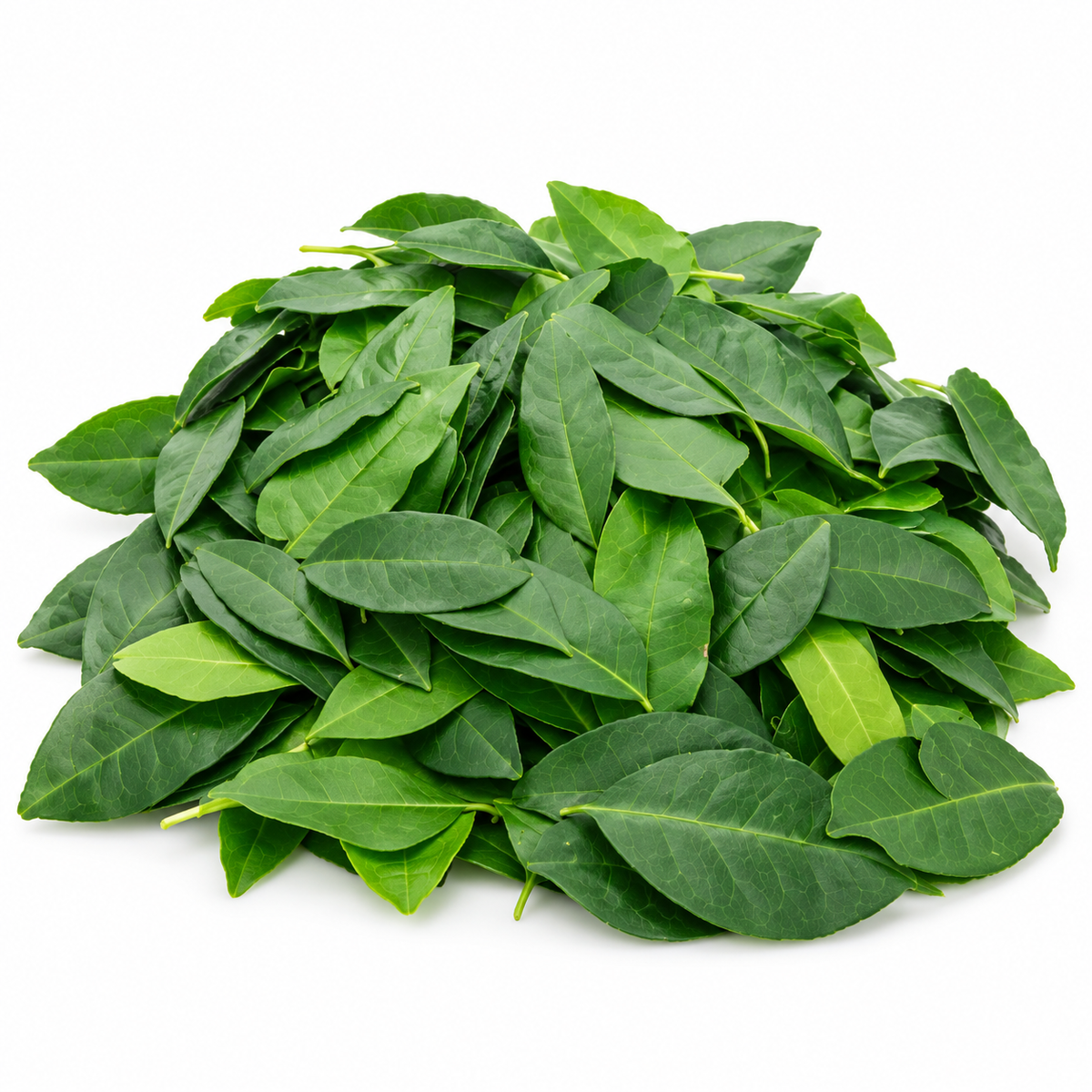 YAKINARAN LVS 1 KG