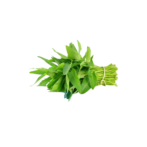 Kangkung