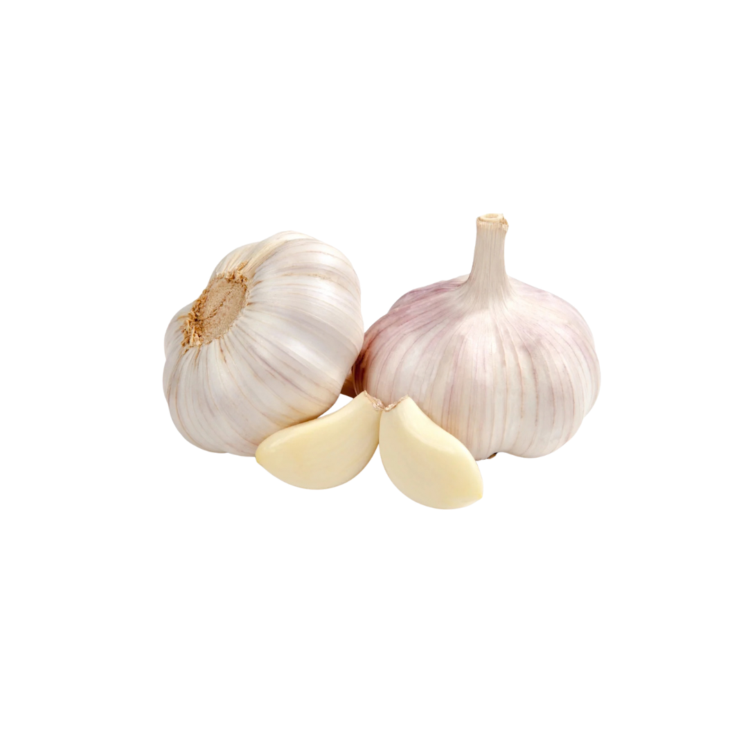 Garlic