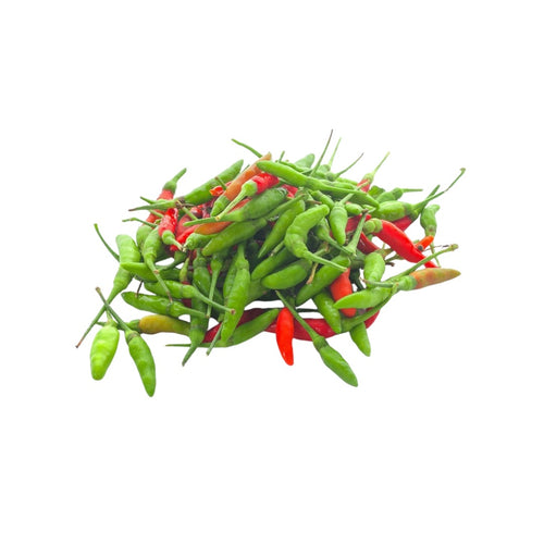 Bird Chilli