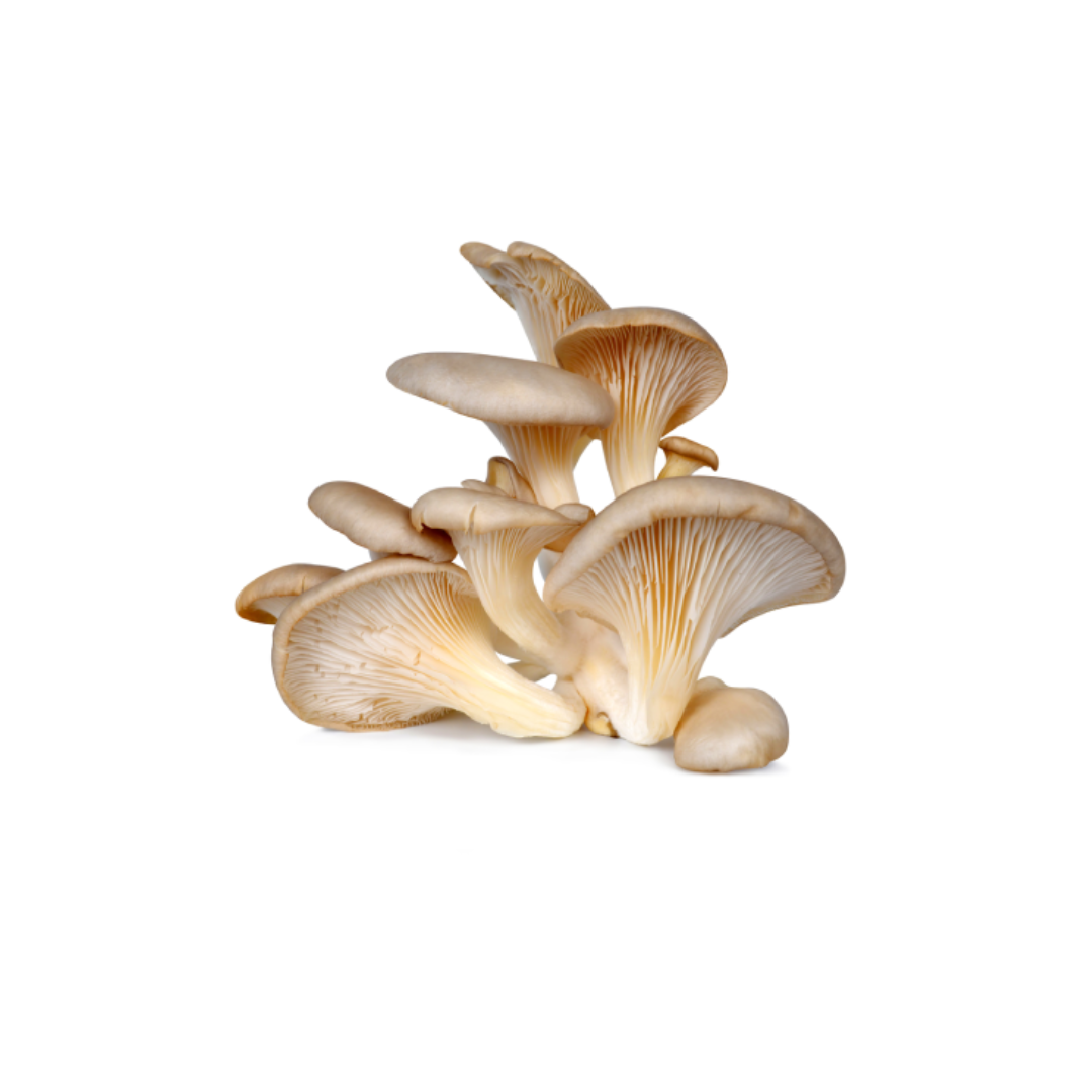 Mushrooms packet