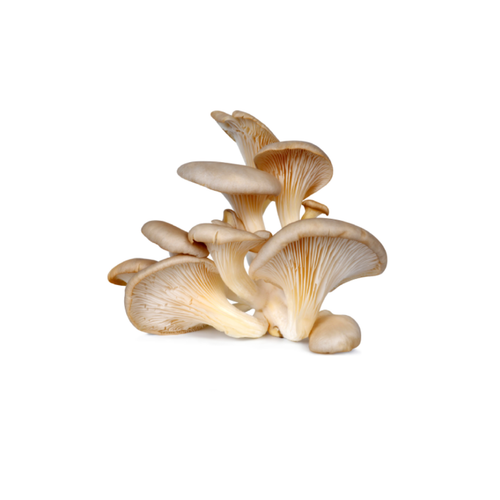 Mushrooms packet