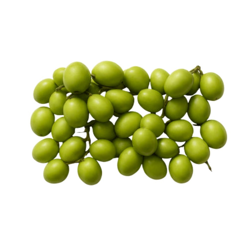 Ceylon Olive