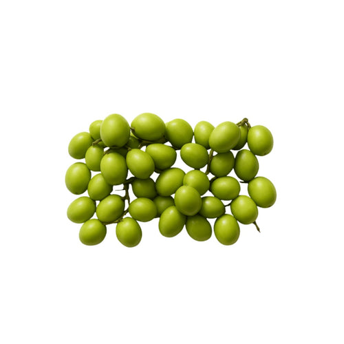 Turkey Berry