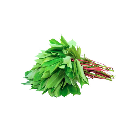 Cassava Leaves