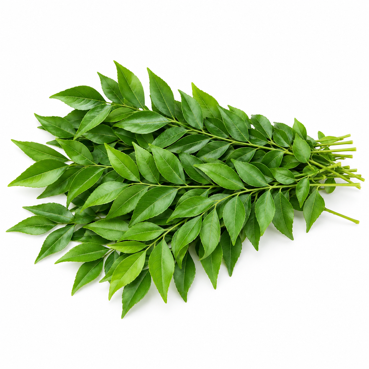 CURRY LEAVES PACKETS