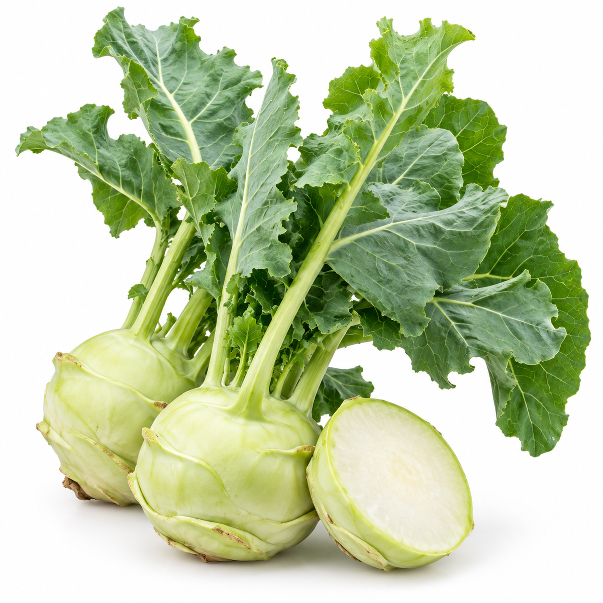 KNOL KHOL  