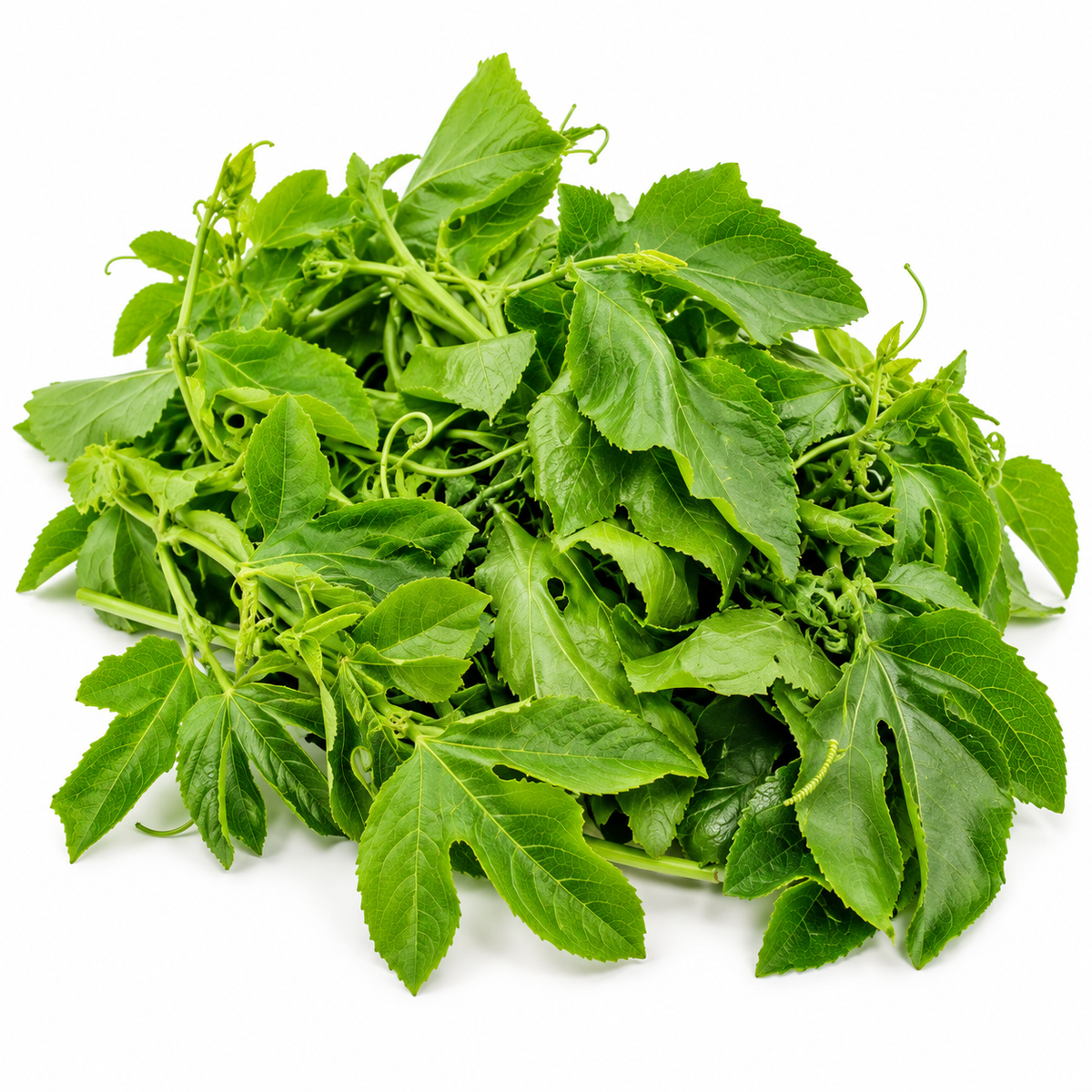Passion Fruit Leaves  
