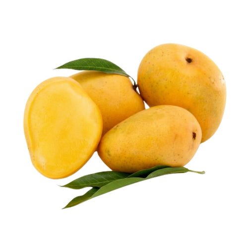 TJC Mango