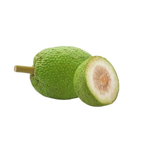 Breadfruit