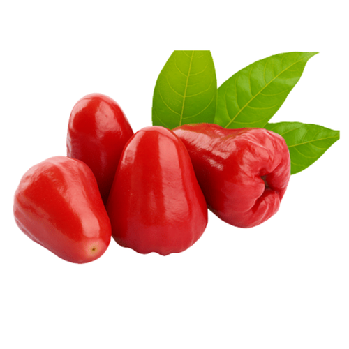Jambu