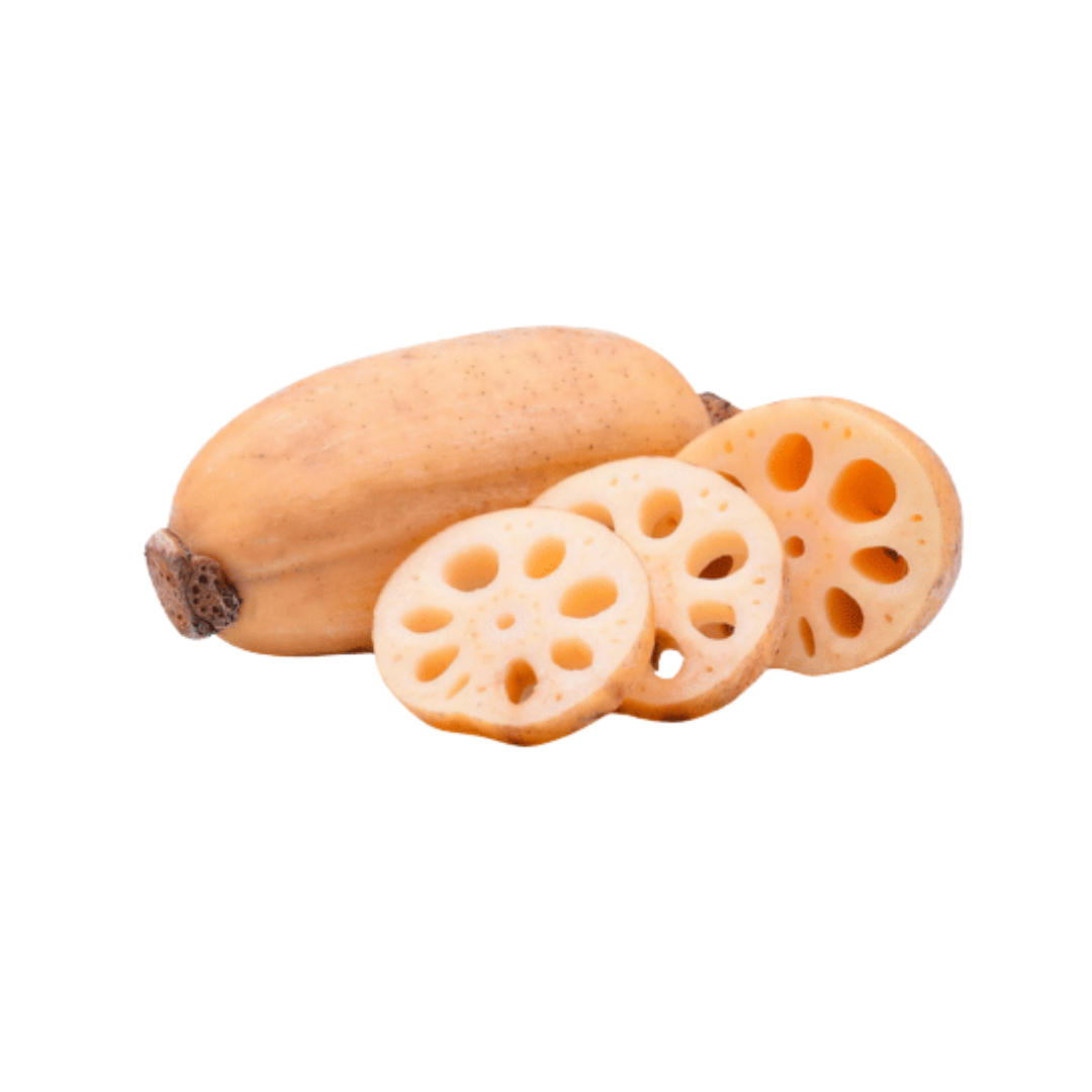 Lotus Root