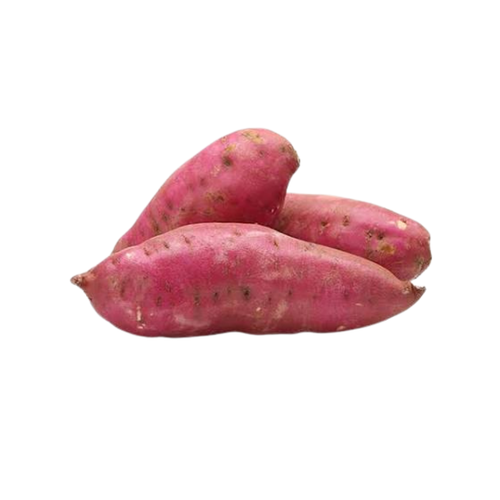 Sweet Potato
