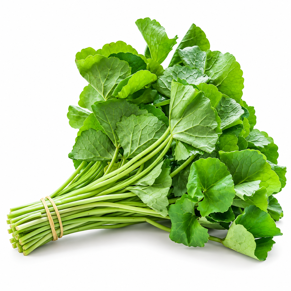 Gotukola  