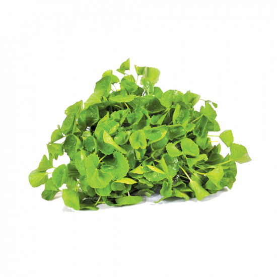 GOTUKOLA BUNDLE 200G