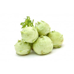 KNOL KHOL (NOKOL) 250G