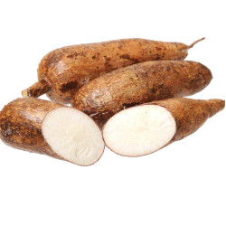 TAPIOCA 1KG  (මංඤොක්කා)