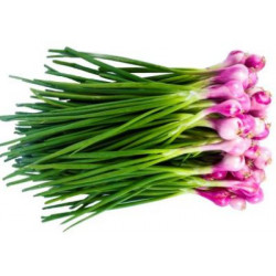 SPRING ONION (LOONU KOLA) 100G