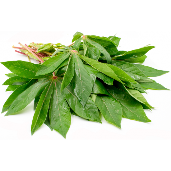 TAPIOCA LEAVES BUNDLE 200G
