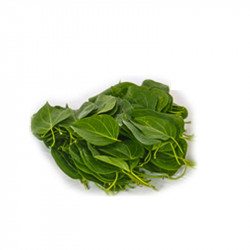 ANGUNA LEAVES BUNDLE (ANGUNA KOLA) 200 G