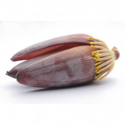 BANANA FLOWER (KESELMUWA) 500G
