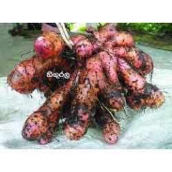 HINGURALA 250G