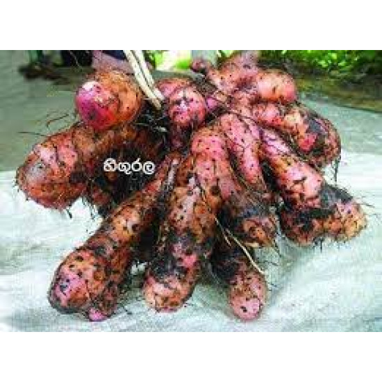 HINGURALA 250G