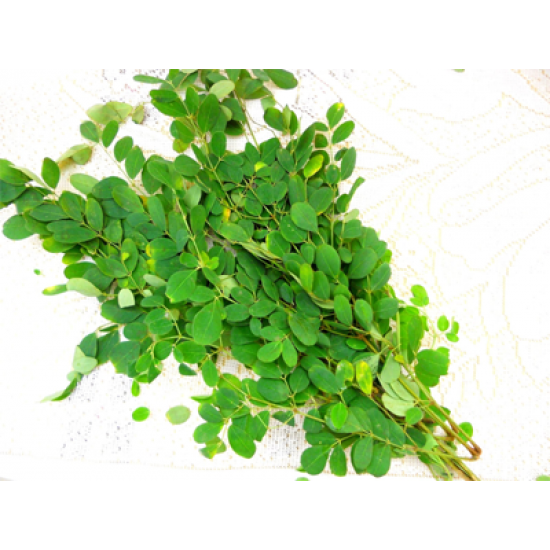 DRUMSTICK LEAVES BUNDLE (LOCAL MARKET) 100g