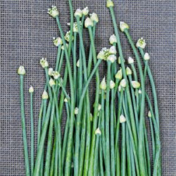 LOONU MAL (ONION FLOWERS) 250G