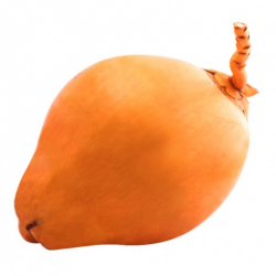 KING COCONUT (THAMBILI)