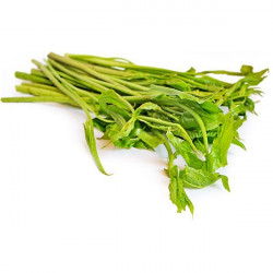 KOHILA LEAVES BUNDLE 200G
