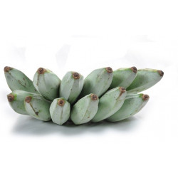 ASH PLANTAIN (ALU KESEL) 250G