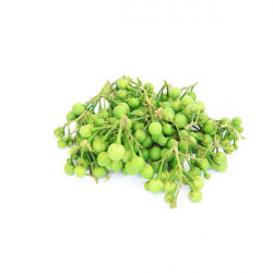 THIBBATU (TURKEY BERRY) 250G