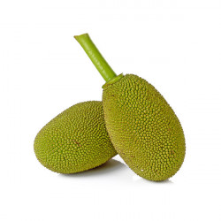 POLOS (BABY JACKFRUIT) 1KG