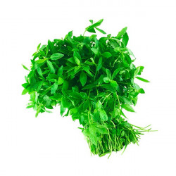 MUKUNUWENNA BUNDLE 200G