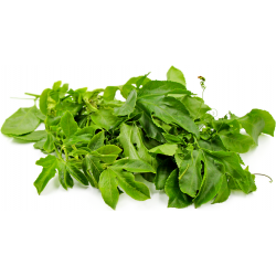 PASSION FRUIT LEAVES BUNDLE 200G