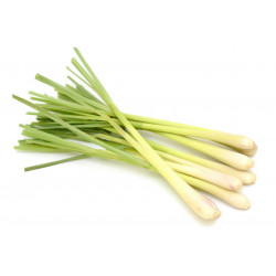 LEMON GRASS (SERA) BUNDLE 100G