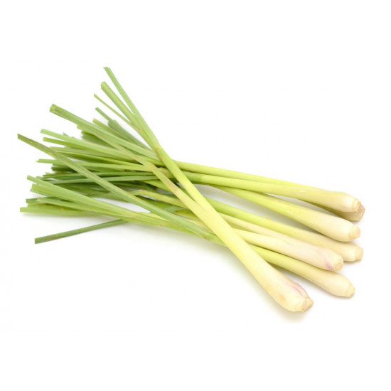 LEMON GRASS (SERA) BUNDLE 100G