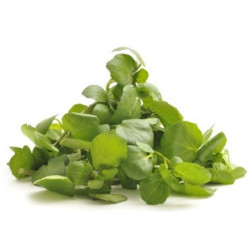SARANA BUNDLE 200G