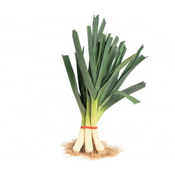 LEEKS 250G