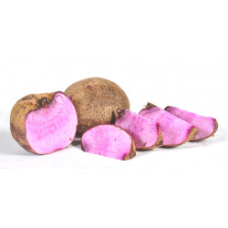 RAJA ALA (PURPLE YAM) 250G