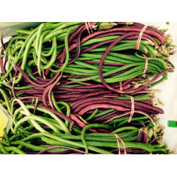 LONG BEANS (MAAKARAL) 250G