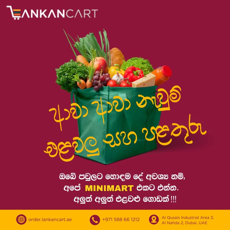 WhatsApp Image 2026-02-20 at 9.07.51 PM